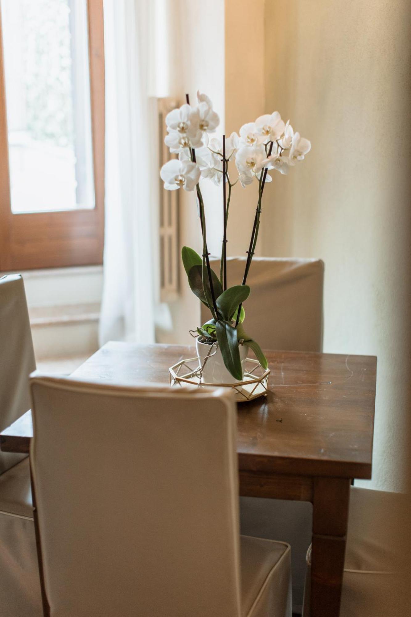 Apartamento Osteria Luxury Peschiera del Garda